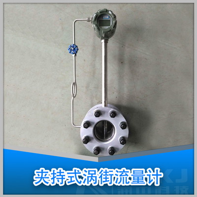 渦街蒸汽流量計(jì)